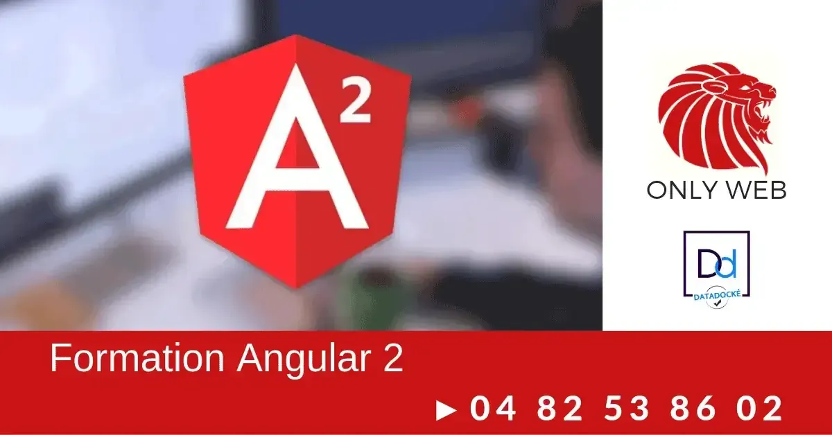 Formation ANGULAR (Expert) - ONLYWEB Formation: en présentiel et à distance
