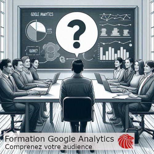 Google Analytics - Comprenez votre audience 